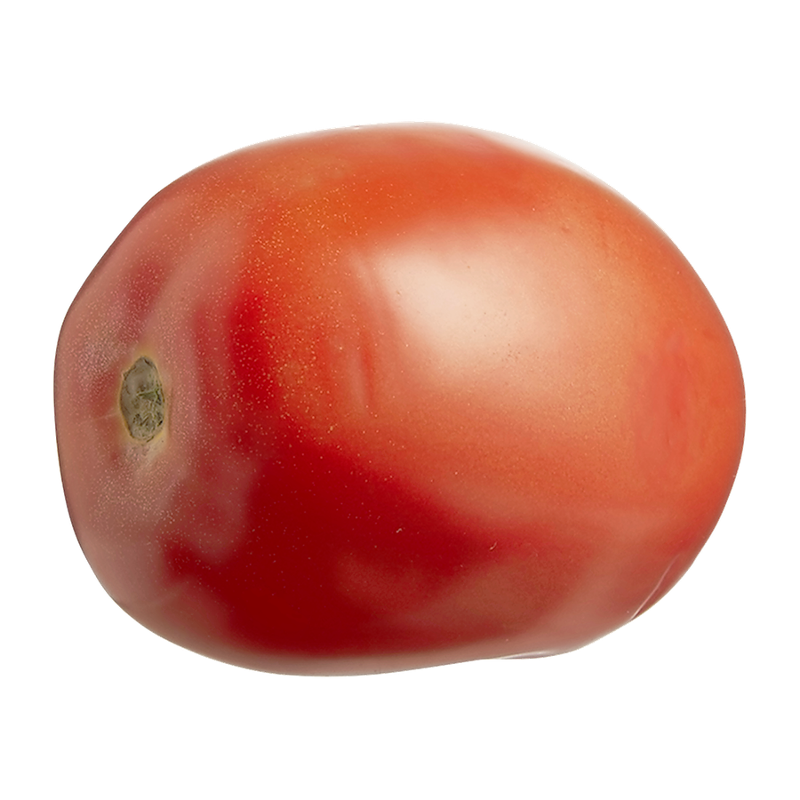 Tomatos (Roma)