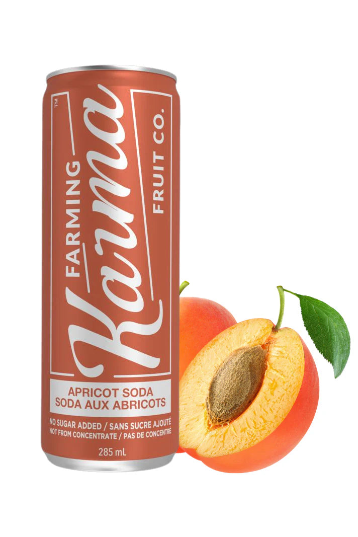 Fruit Soda - Karma