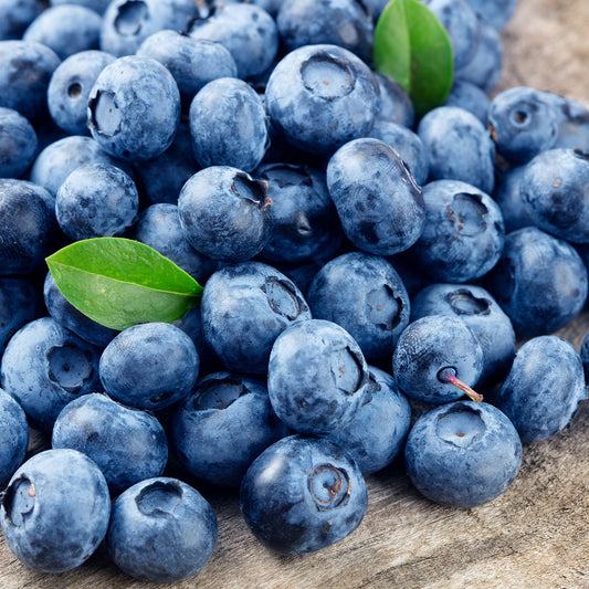 Blueberries (Organic)
