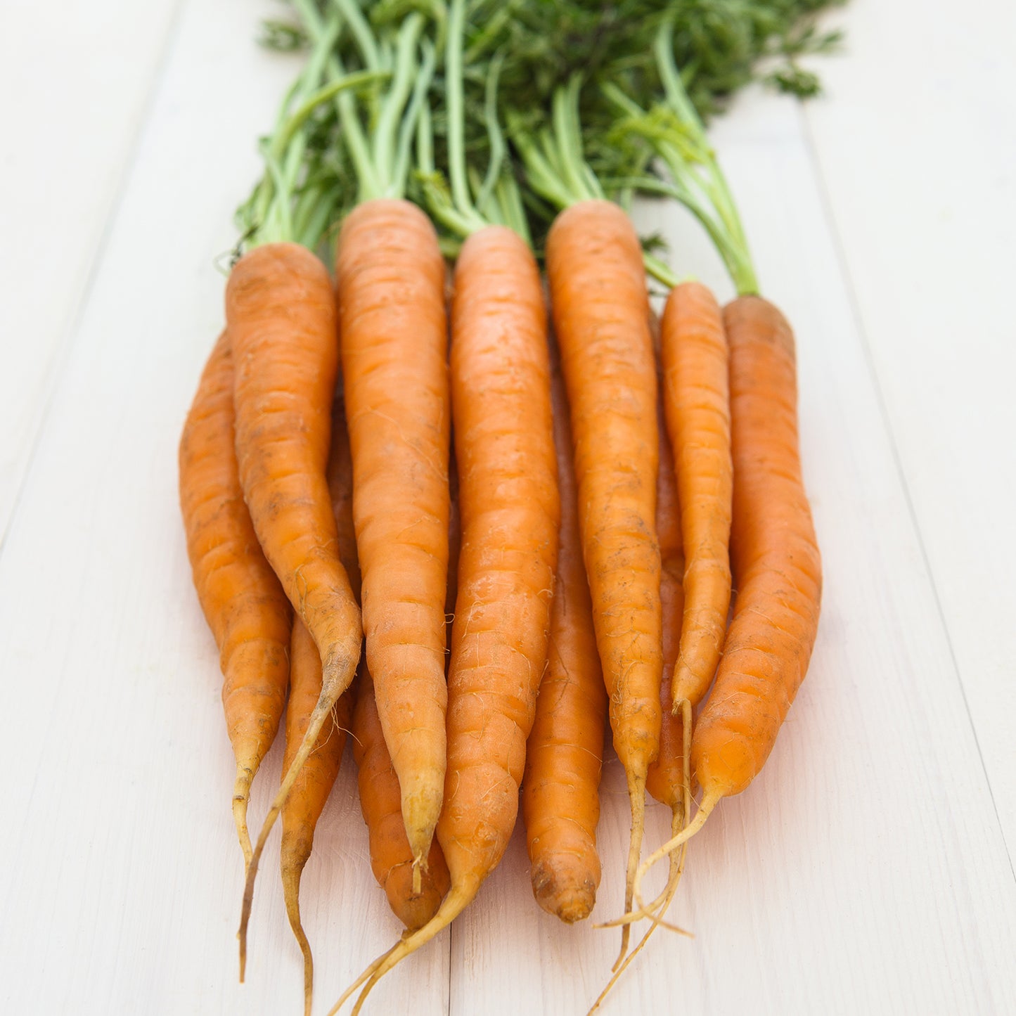 Carrots, Individual
