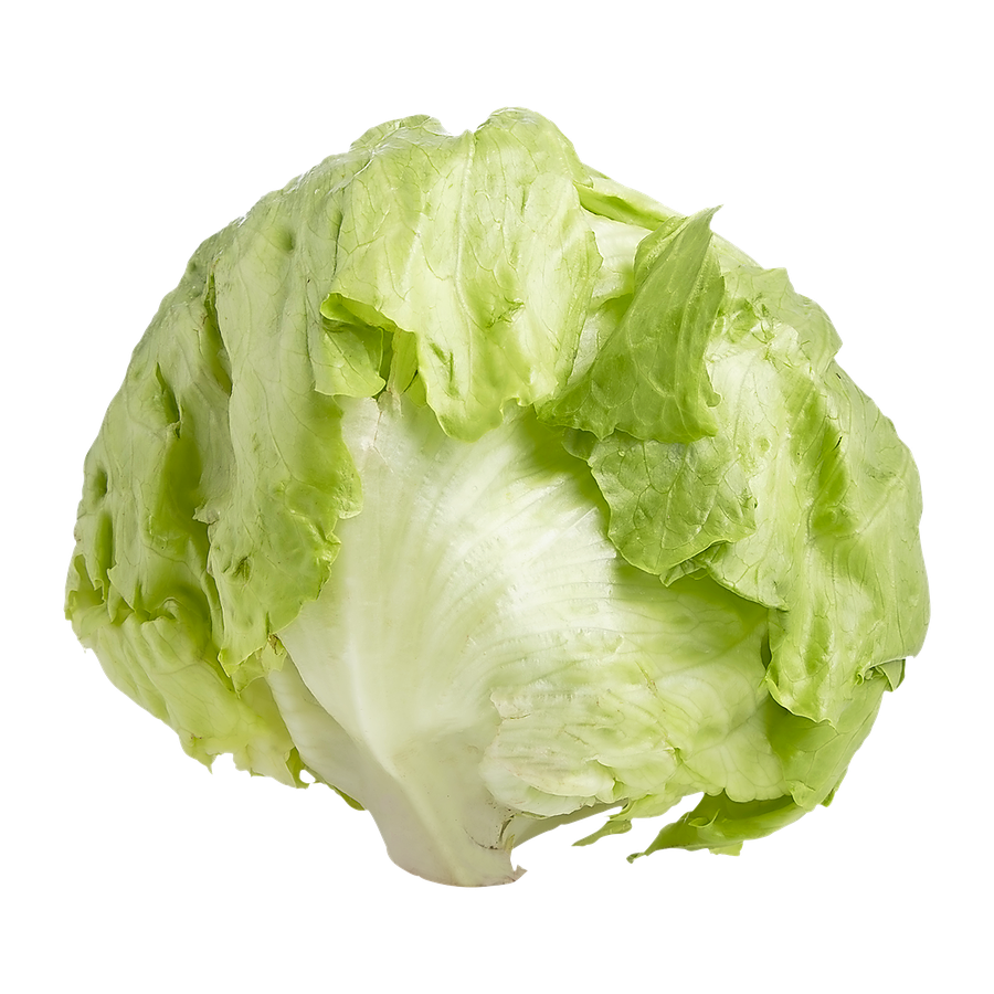 Lettuce (Iceburg)