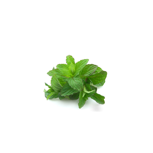 Mint (Fresh) | Herbs